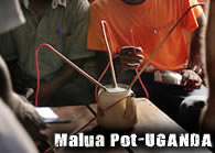 MaluaPOT