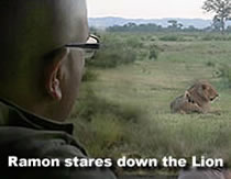 Ramon and the Lion